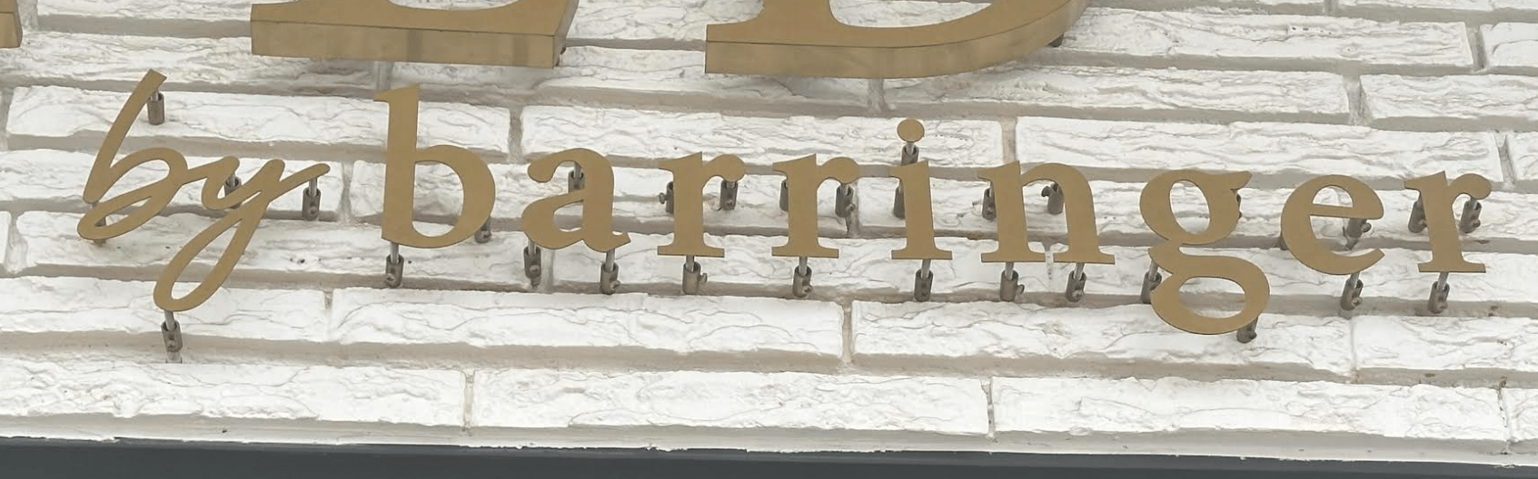 Custom 3D Metal Sign-Custom Logo Sigin- Laser Cut Sign- Indoor or Aotdoor Sign - SIGNATUREL LLC