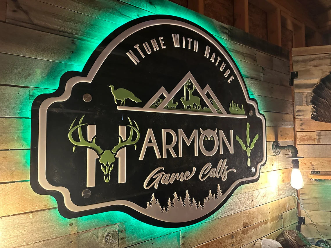 Custom 3D Acrylic Logo Sign